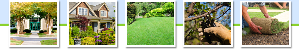 Davis Brothers Landscaping | Residential Landscaping | Commercial Landscaping | Lawn Maintenance